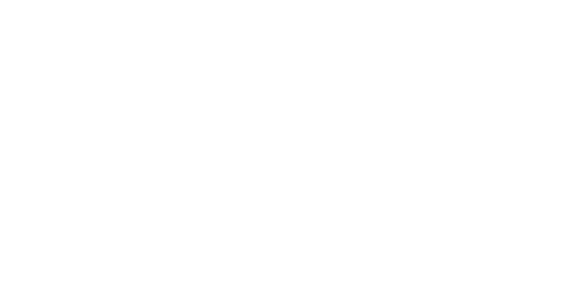 Logo fixed white